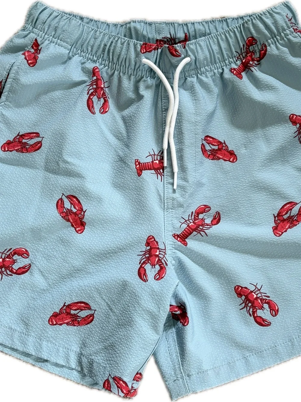 Hollister Men's Mid-Thigh Seersucker Lobster Swim Shorts Lined Small Blue & Red